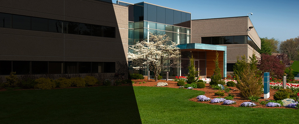 Paulden Landscapers