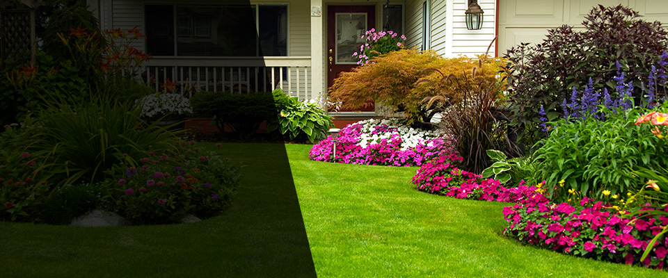 Paulden Landscapers