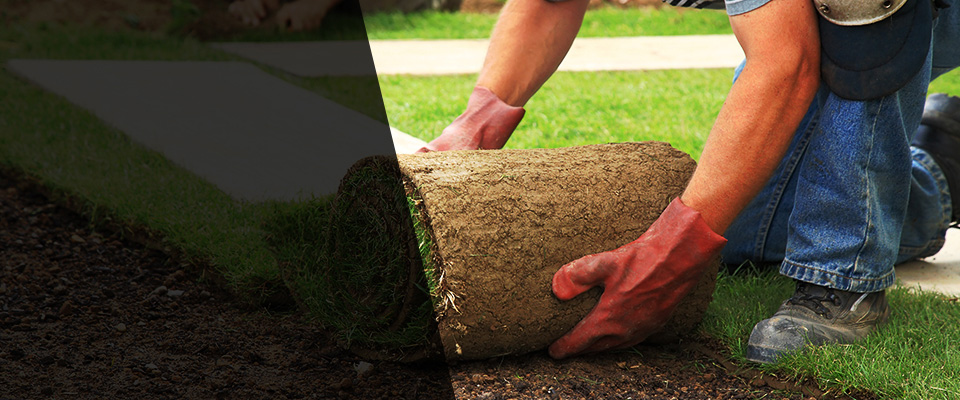 Paulden Landscapers